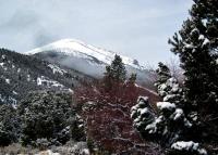 Wheeler Peak�